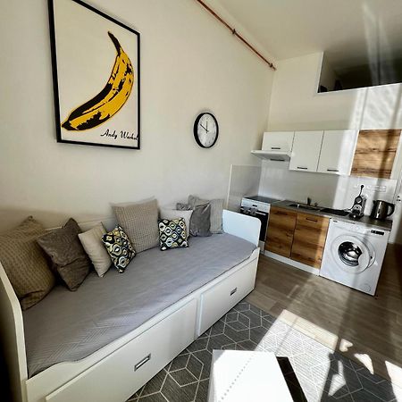 Apartman Zlata Hvezda 捷克布杰约维采 外观 照片