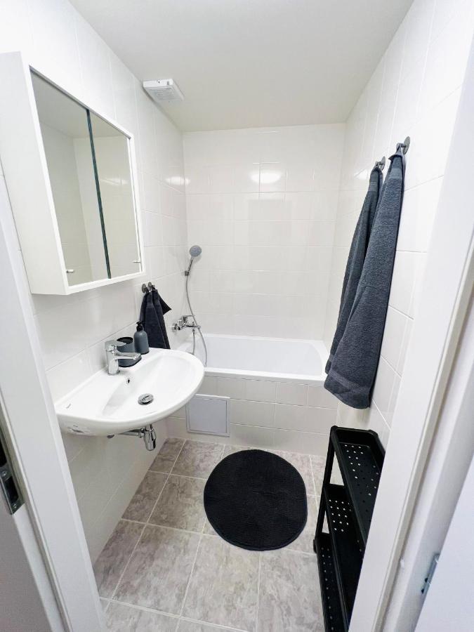 Apartman Zlata Hvezda 捷克布杰约维采 外观 照片