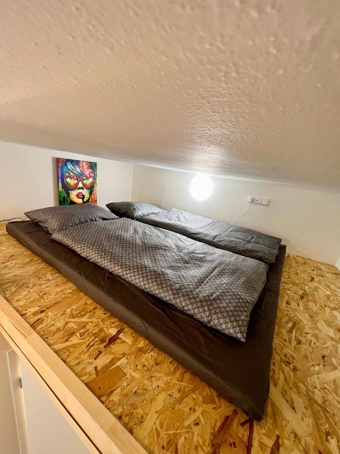 Apartman Zlata Hvezda 捷克布杰约维采 外观 照片