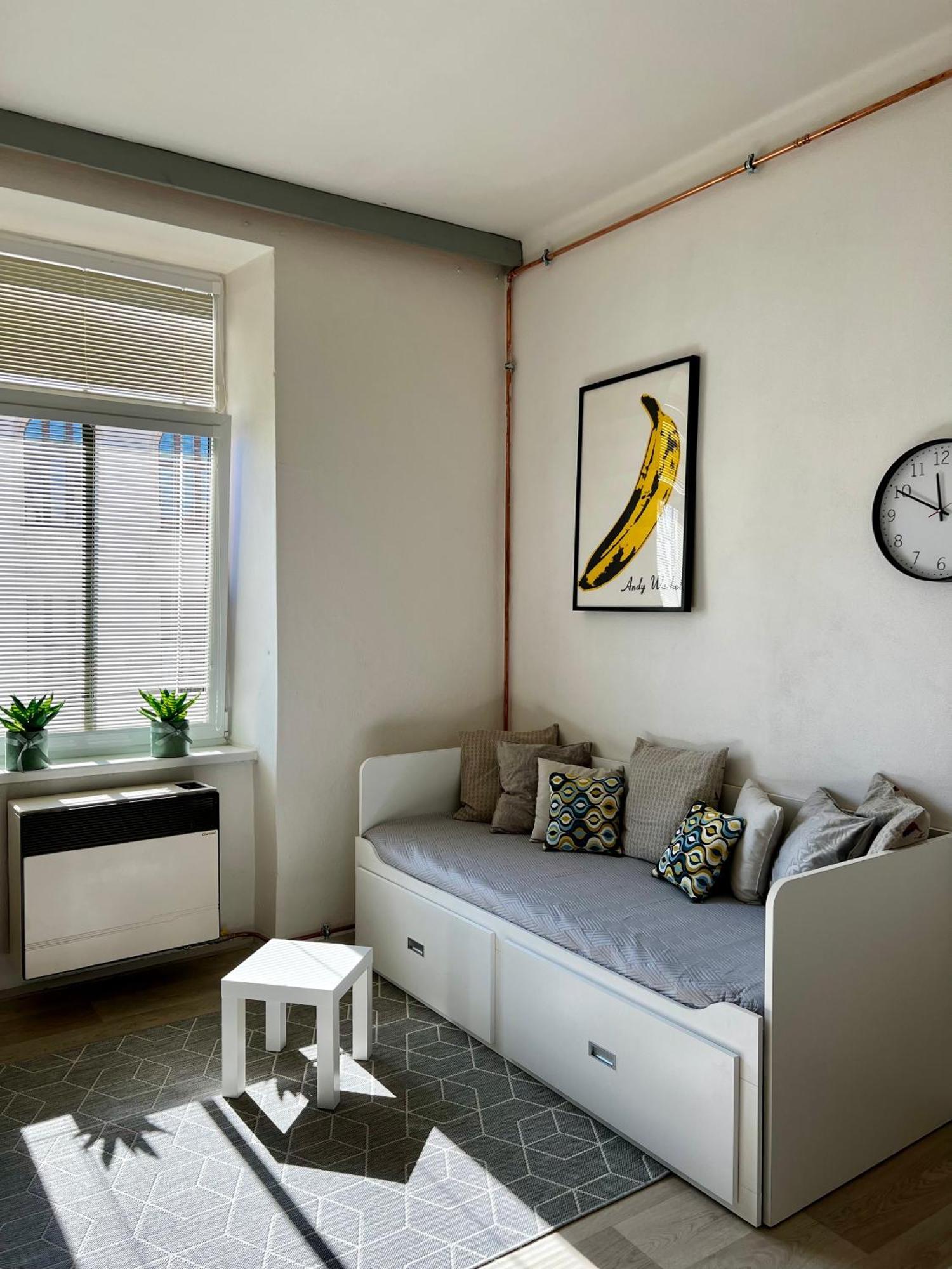 Apartman Zlata Hvezda 捷克布杰约维采 外观 照片
